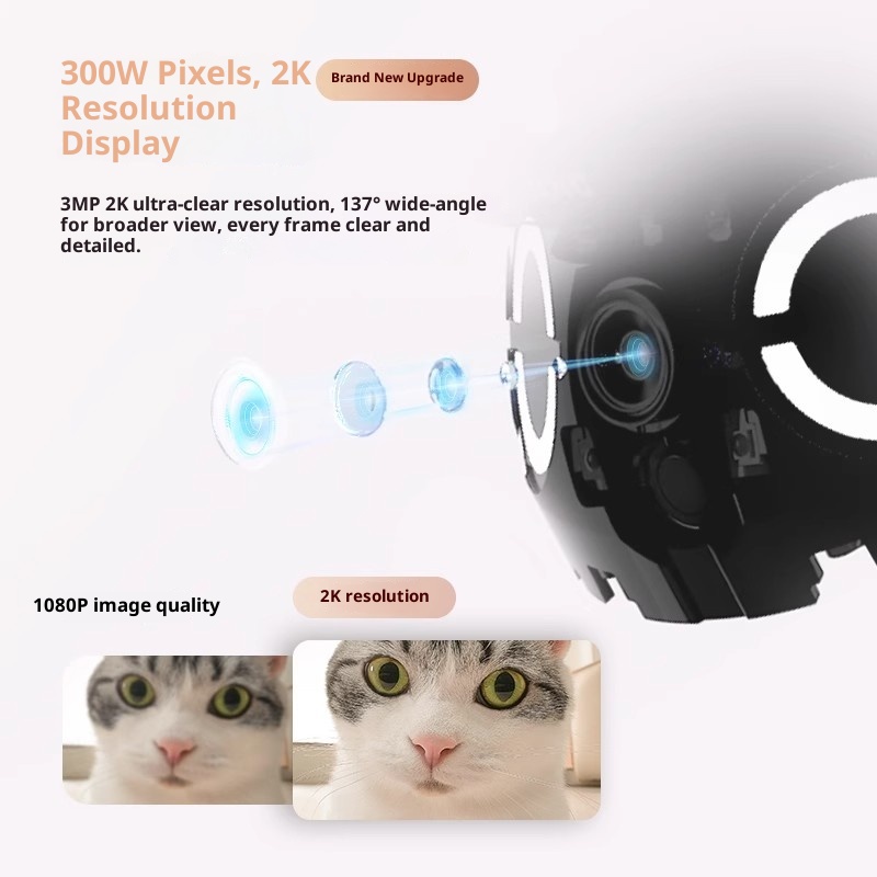 Enabot ROLA Mini Smart Robot И – обзор и цена Smart Home Cctv
