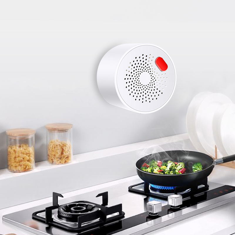 Датчик природного газа Tuya Sm – обзор и цена Smart Home Blog